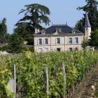 5c8a8d9a2300005400e6b525