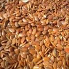 Bien: frigorífico // Mal: despensa Refrigera los granos antes de molerlos en un frasco opaco y hermético hasta 90 días. Las semillas enteras pueden durar hasta un año a temperatura ambiente. Para obtener el máximo de nutrientes posible...