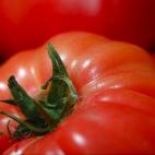 Bien: encimera // Mal: frigorífico No los metas en la nevera. Déjalos a temperatura ambiente sin que les dé directamente la luz del sol. En el frigorífico pierden agua y sabor. Para que aguanten más, guárdalos en una bolsa de papel en...