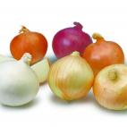 Bien: despensa // Mal: frigorífico Guarda los bulbos secos y sin pelar en un lugar fresco, seco y oscuro con ventilación (no de plástico). Truco para no llorar: mete la cebolla en el frigorífico durante 30 minutos antes de picarla. F...