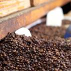 Bien: despensa (a corto plazo) o congelador (a largo plazo) // Mal: despensa (a largo plazo) o frigorífico Guarda las semillas en un bote de vidrio o de cerámica hermético y colócalo en un lugar fresco, seco y oscuro. Si los compras a...