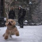 5c8b815a2500000704cad6dc