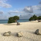 Eagle Beach, Aruba, Caribe