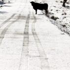 5c8b5d8f230000dd04248bc0