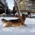 5c8b5d912000009d037092dd