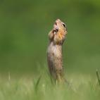 Affinity Photo People's Choice Award