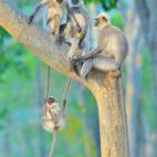 Diversión para todas las edades