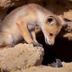 Negociaciones complicadas