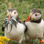 ¿En serio? ¿No puedes compartir?