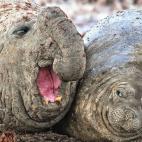 Tuve que quedarme hasta tarde en el trabajo