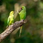 Distancia social, ¡por favor!