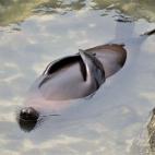 Clase de saludo al sol