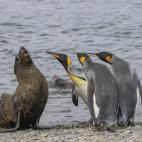 Ese momento en el que conoces a la familia de tu pareja.