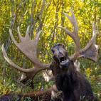 Su sue&ntilde;o siempre ha sido cantar.