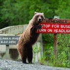 Su m&aacute;xima preocupaci&oacute;n es velar por la seguridad de todos los conductores.