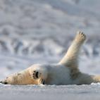No hay nada como un poco de gimnasia matutina.