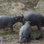 No tenemos nada m&aacute;s que a&ntilde;adir.