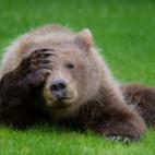 Esta foto sirve para describir un lunes por la ma&ntilde;ana o una resaca.