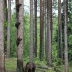 El momento en el que le entregabas las notas a tus padres.