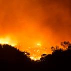 613ee3283b0000d5d4ee979b