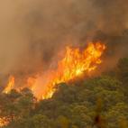 613ee3fd280000210271fa8f