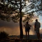 613ee3ec280000431271fa8e