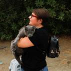 613ee3ac26000087ed540a42