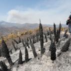 613ee3483b000082e1ee979d