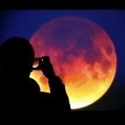 5c8a905c20000043046f4dea