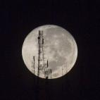 5c8a905d24000093024c0142