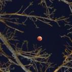 5c8a905e230000040123411b