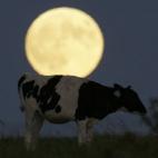 5c8a905f2300005400e6b84e