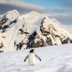 5c8b608c2400006c05a48f55