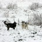 5c8aa05c2300002f00e6d5cc