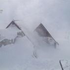 5c8aa05d2300007f01235e02