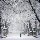 5c8b657422000030001acd08