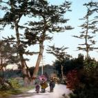 5c8ae2ff3b000072066cbd1d