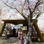 5c8ae30024000093024c9f3c