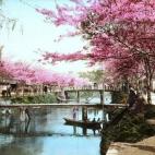 5c8ae300360000c81a6c3c9d