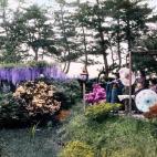 5c8ae3002400006c05a3db6a