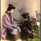 5c8ae3012300002f00e75732