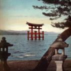 5c8ae30124000093024c9f3f