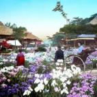 5c8ae30122000033001a0bc9