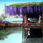 5c8ae3022300007f0123e021