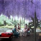 5c8ae30220000043046fea5b