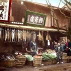 5c8ae304360000c81a6c3ca7