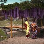 5c8ae3042400000a05a3db6c