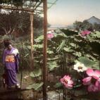 5c8ae30522000051001a0bcb