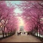 5c8ae3052300007f0123e027