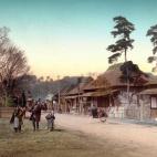 5c8ae307250000e203c9d044